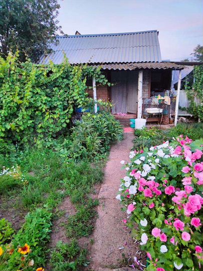 Дача 20 м² на участке 7 сот.