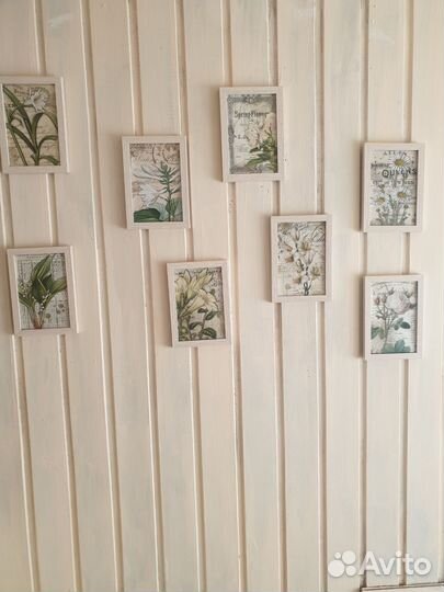 Почтовые открытки с ботаническими иллюстрациями