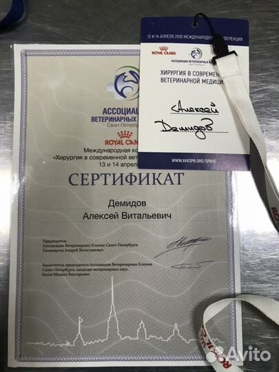 Кастрация собак в любом районе спб.Ветврач на дом