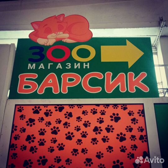 Товары для животных