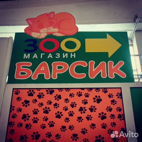 Товары для животных