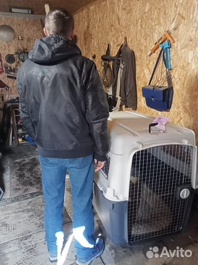 Большая очень Перевозка, переноска для собак