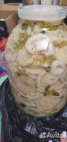 Грибы грузди соленые очень вкусны Чарышские грибы