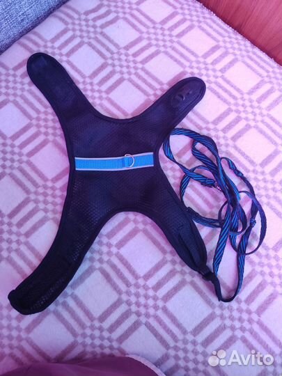 Шлейка для маленькой собаки