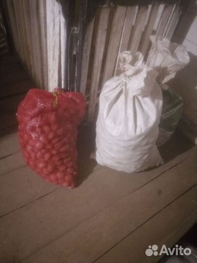 Картошка едовая и сменная