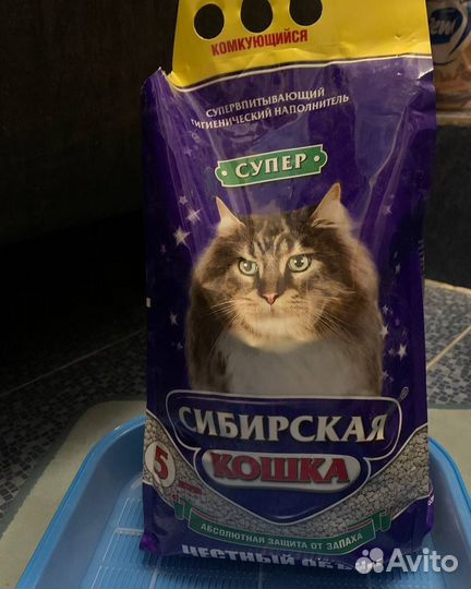 Лоток для кошек