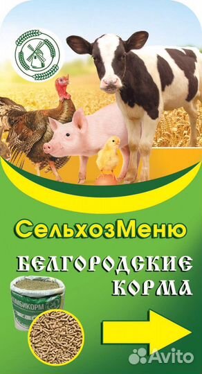 Белгородские корма
