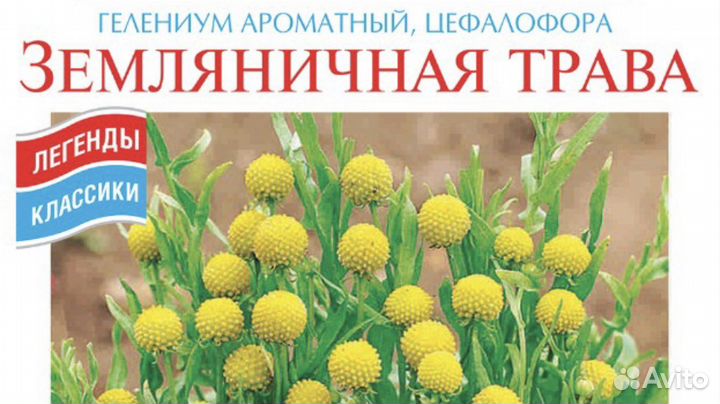 Чабрец, Душица, мелисса, розмарин, лук