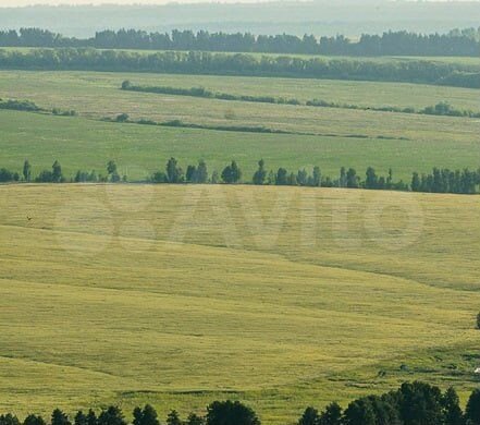 Дом 48,3 м² на участке 22 сот.