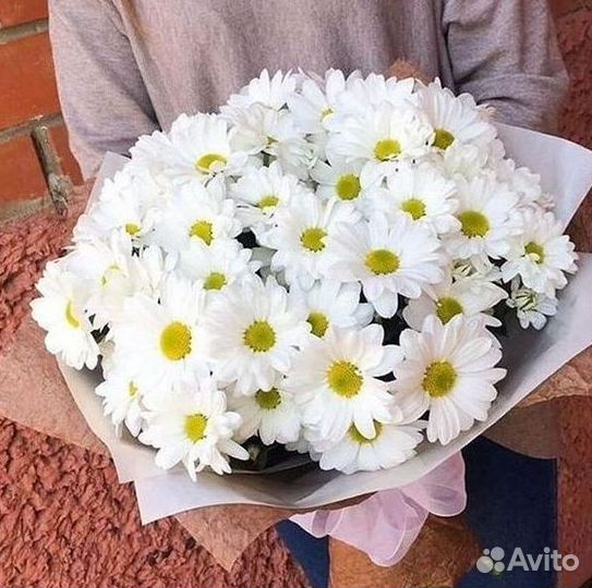 Хризантема Букеты доставка цветов