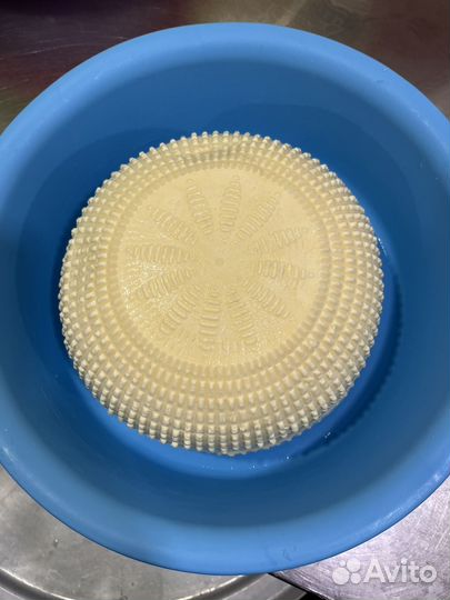 Сыр домашний брынза