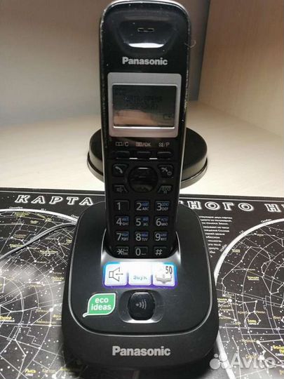 Panasonic