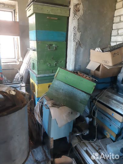 Продается пасека