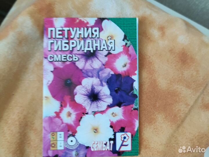 Рассада петунии