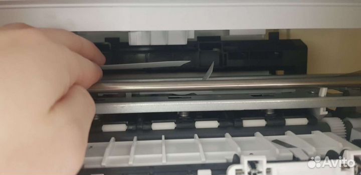 Принтер hp цветной