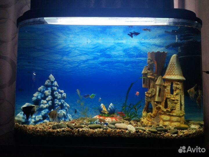 Аквариум с тумбой, декорациями и кучей рыбок