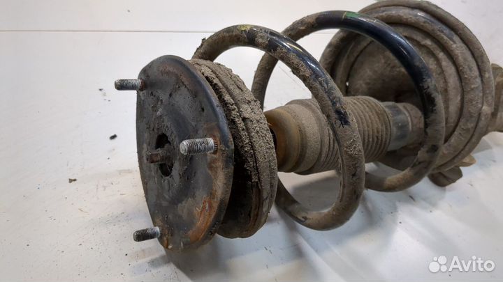 Амортизатор подвески правый передний Hyundai H-1 Starex, 2014