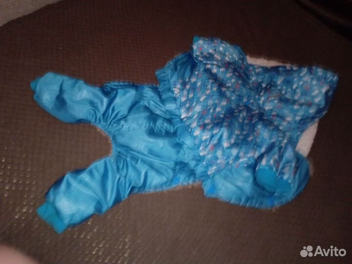 Комбинезон для кота