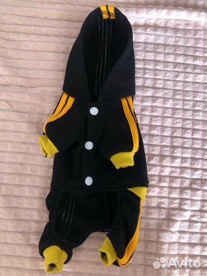 Одежда для собак мелких пород