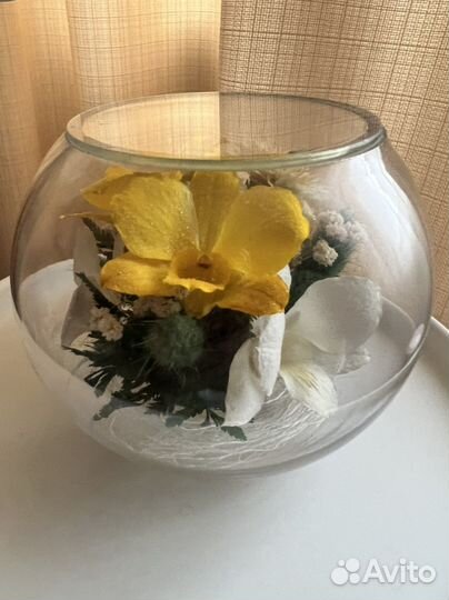 Стабилизированные цветы в стекле