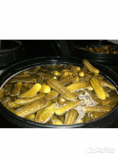 Огурцы соленые