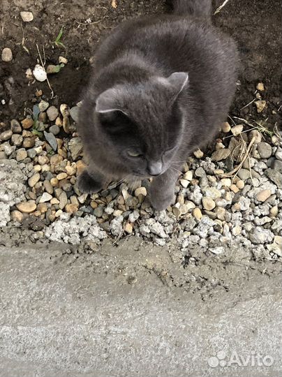 Тротуарная плитка цветная минимальный объем 120 м2