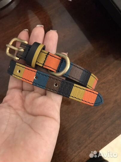 Ошейник и поводок paul smith