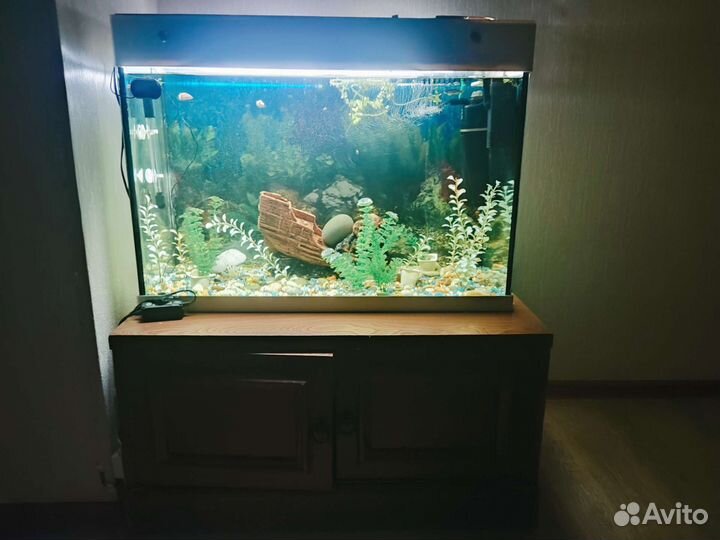 Аквариум