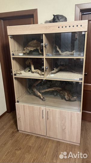 Террариум для рептилий