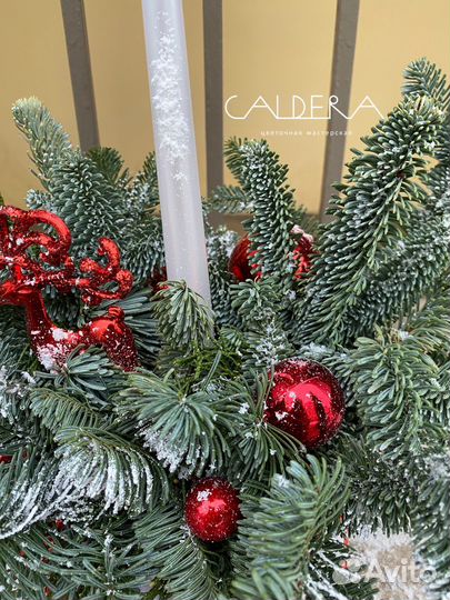 Зимняя композиция из нобилиса (не осыпается)