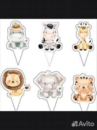 Фотозона,кенди бар -Сафари