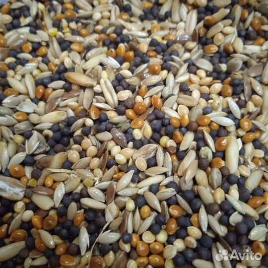 Корм для канареек