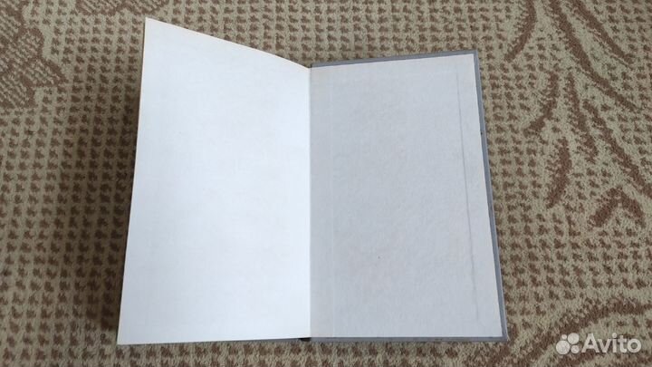 Разин Степан - Алексей Чапыгин (исторический)