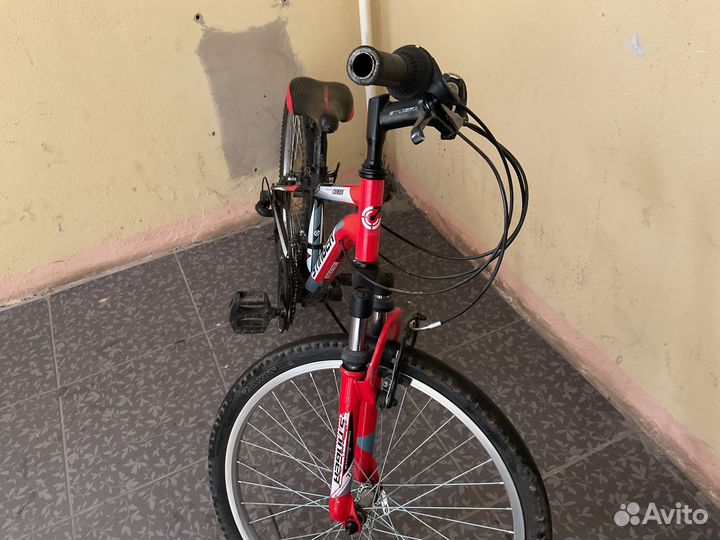 Велосипед stinger caiman