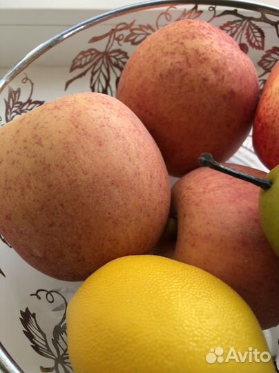 Декоративные фрукты