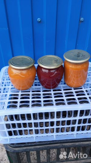 Соленья домашние