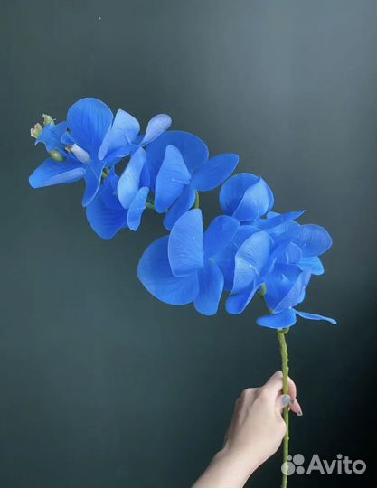 Орхидеи искусственные 2 шт