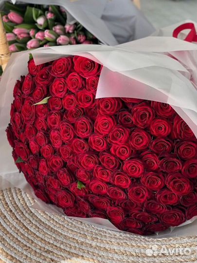 Букет 101 роза, 51 роза, 25 роз