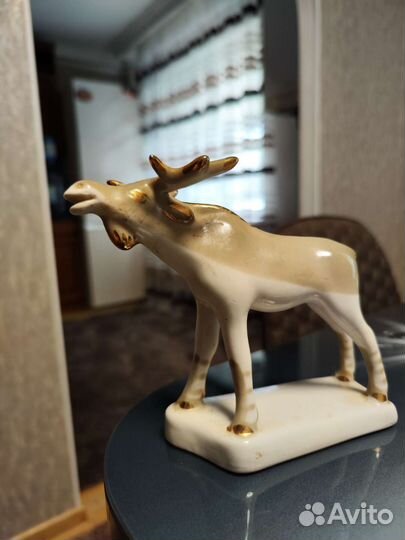 Лось Полонное