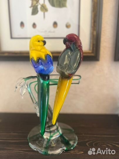 Неразлучники Colorato