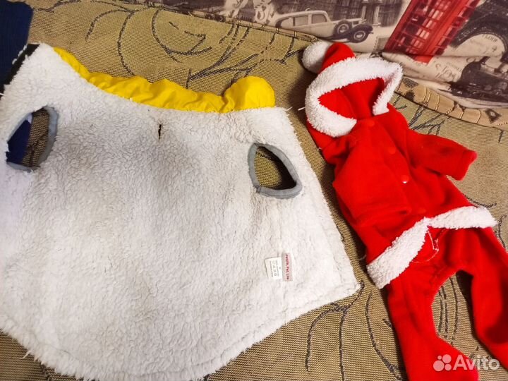 Одежда для собак мелких пород