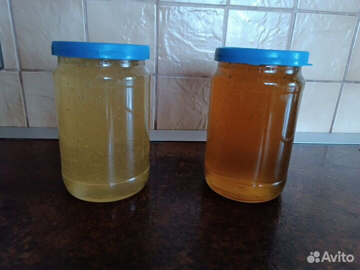 Мёд свежий (сбор-2023 г.) -с личной кочевой пасеки