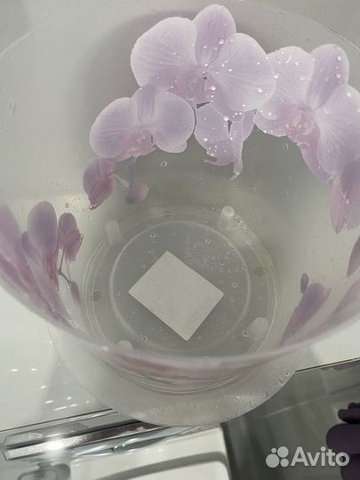 Кашпо с подставкой для орхидей 2.4л