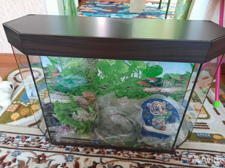 Аквариум