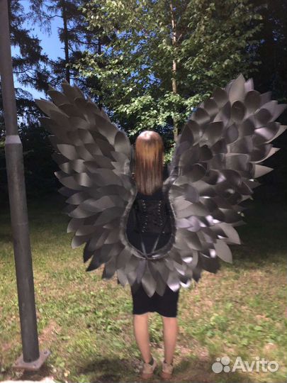 Крылья черные. Прокат