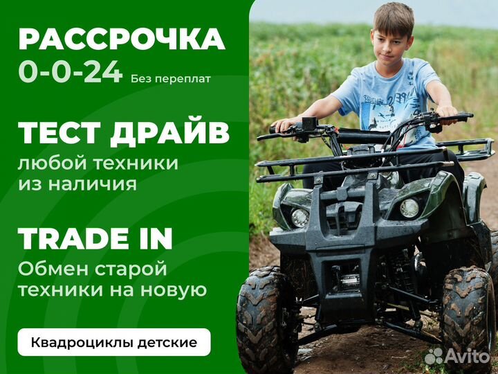 Квадроцикл Grizzly Aerox Mini 125 куб