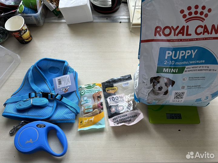 Товары для собак