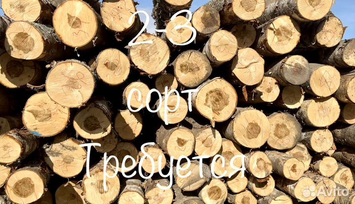 Береза, кругляк, фанкряж дорого