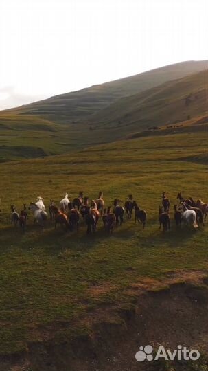 Тур Дагестан 3 дня