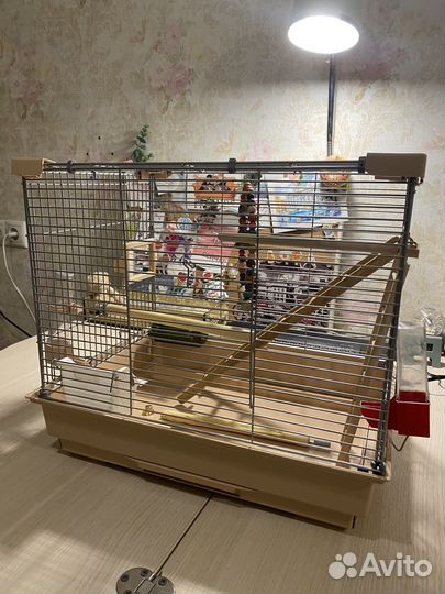 Клетка для попугая или грызунов